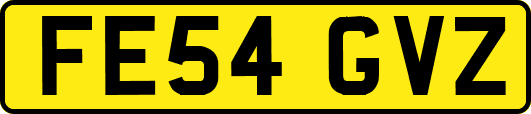 FE54GVZ