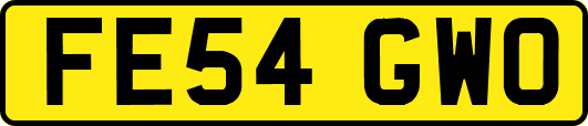 FE54GWO