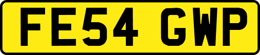 FE54GWP