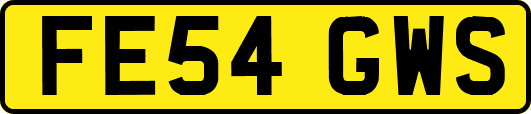 FE54GWS