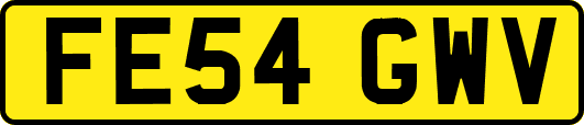 FE54GWV