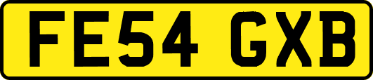 FE54GXB