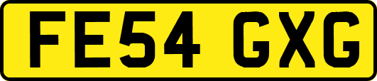 FE54GXG