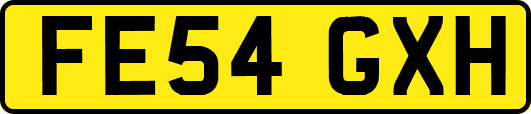 FE54GXH