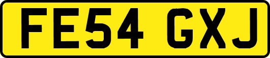 FE54GXJ