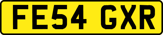 FE54GXR