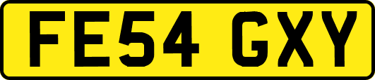 FE54GXY
