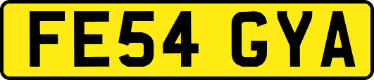 FE54GYA