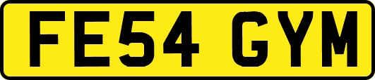 FE54GYM