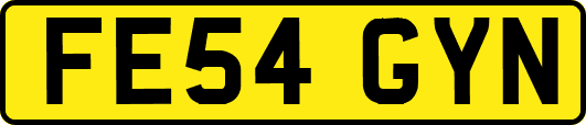 FE54GYN