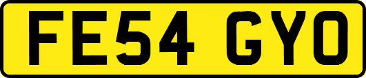 FE54GYO