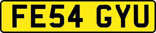FE54GYU