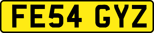 FE54GYZ