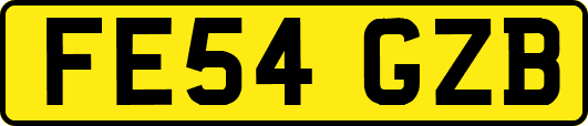 FE54GZB
