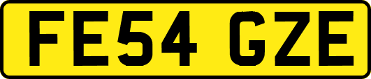FE54GZE