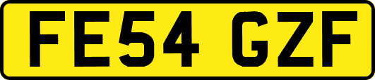 FE54GZF
