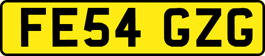 FE54GZG