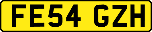 FE54GZH