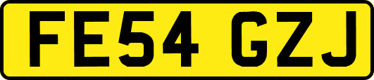 FE54GZJ
