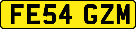 FE54GZM