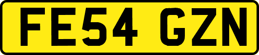 FE54GZN