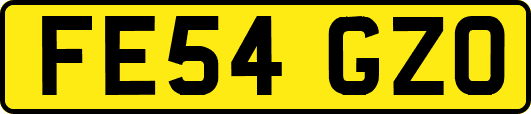 FE54GZO