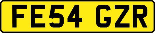FE54GZR