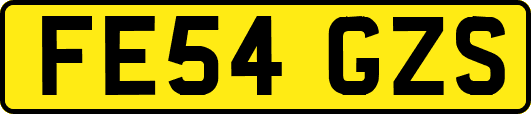 FE54GZS