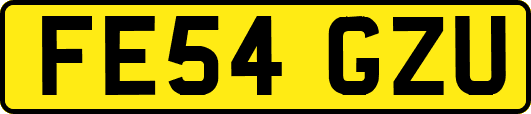 FE54GZU