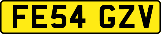 FE54GZV