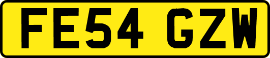 FE54GZW