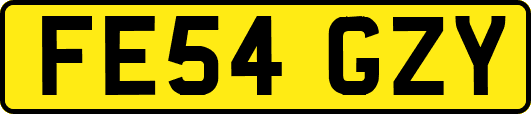 FE54GZY