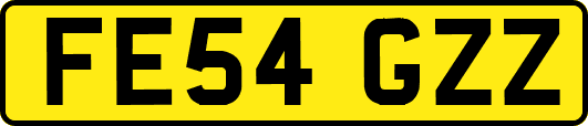 FE54GZZ
