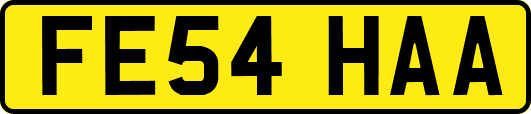 FE54HAA