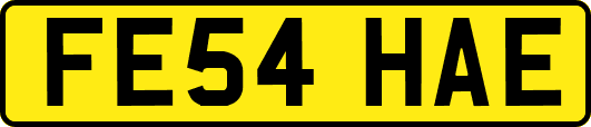 FE54HAE