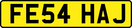 FE54HAJ