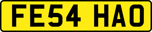 FE54HAO