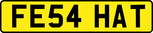 FE54HAT
