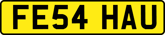 FE54HAU