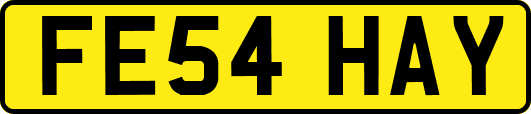 FE54HAY