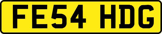 FE54HDG