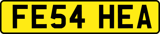 FE54HEA