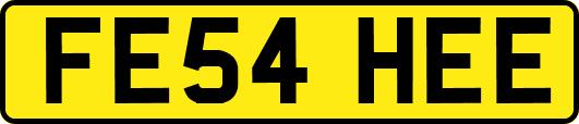 FE54HEE