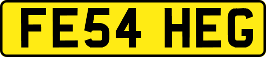 FE54HEG