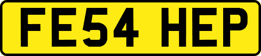 FE54HEP