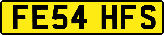 FE54HFS