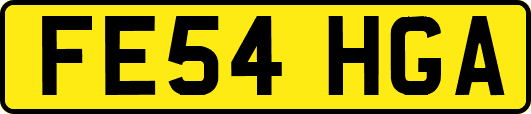 FE54HGA