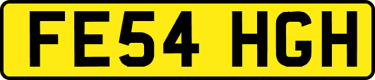 FE54HGH