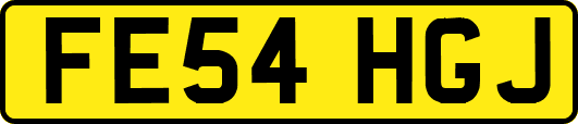 FE54HGJ