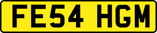 FE54HGM